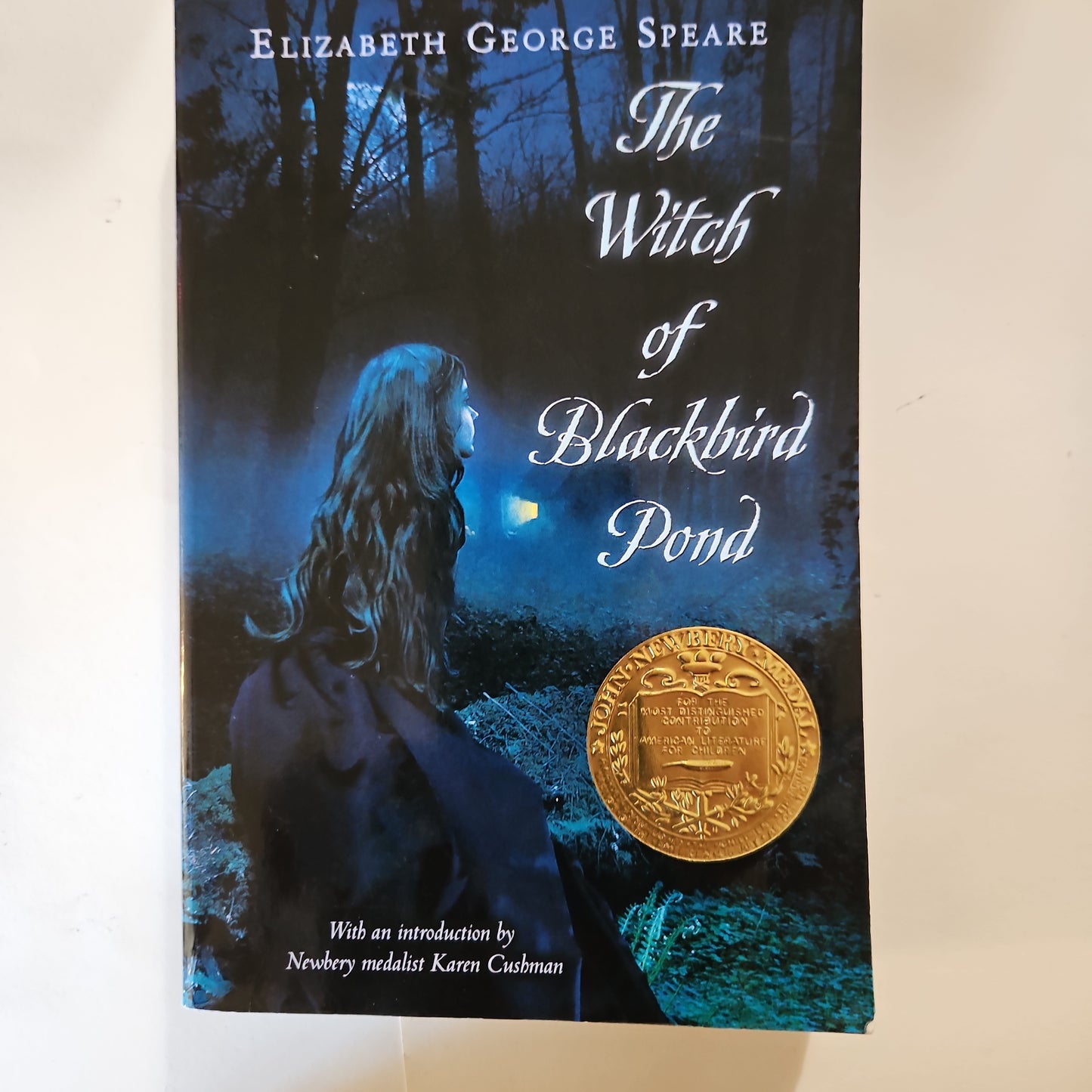 The Witch of Blackbird Pond