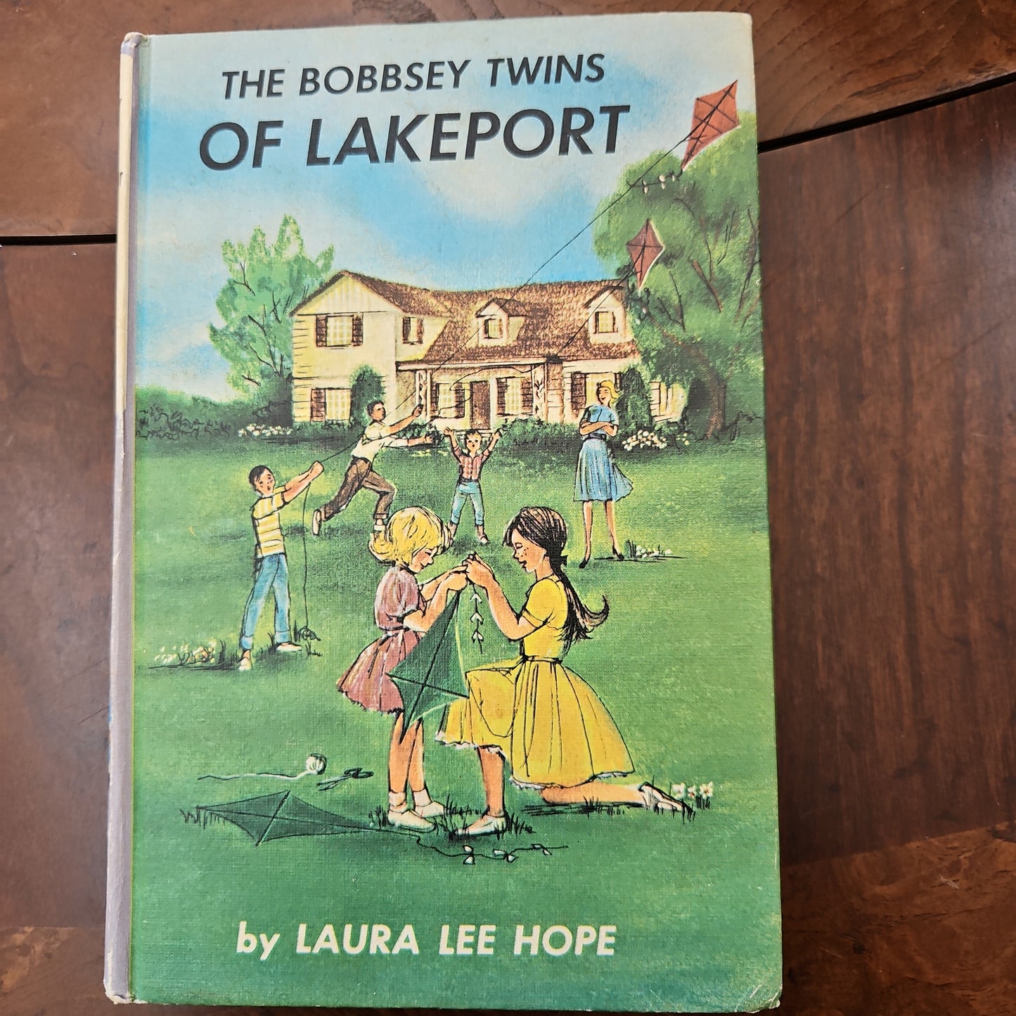 The Bobbsey Twins of Lakeport