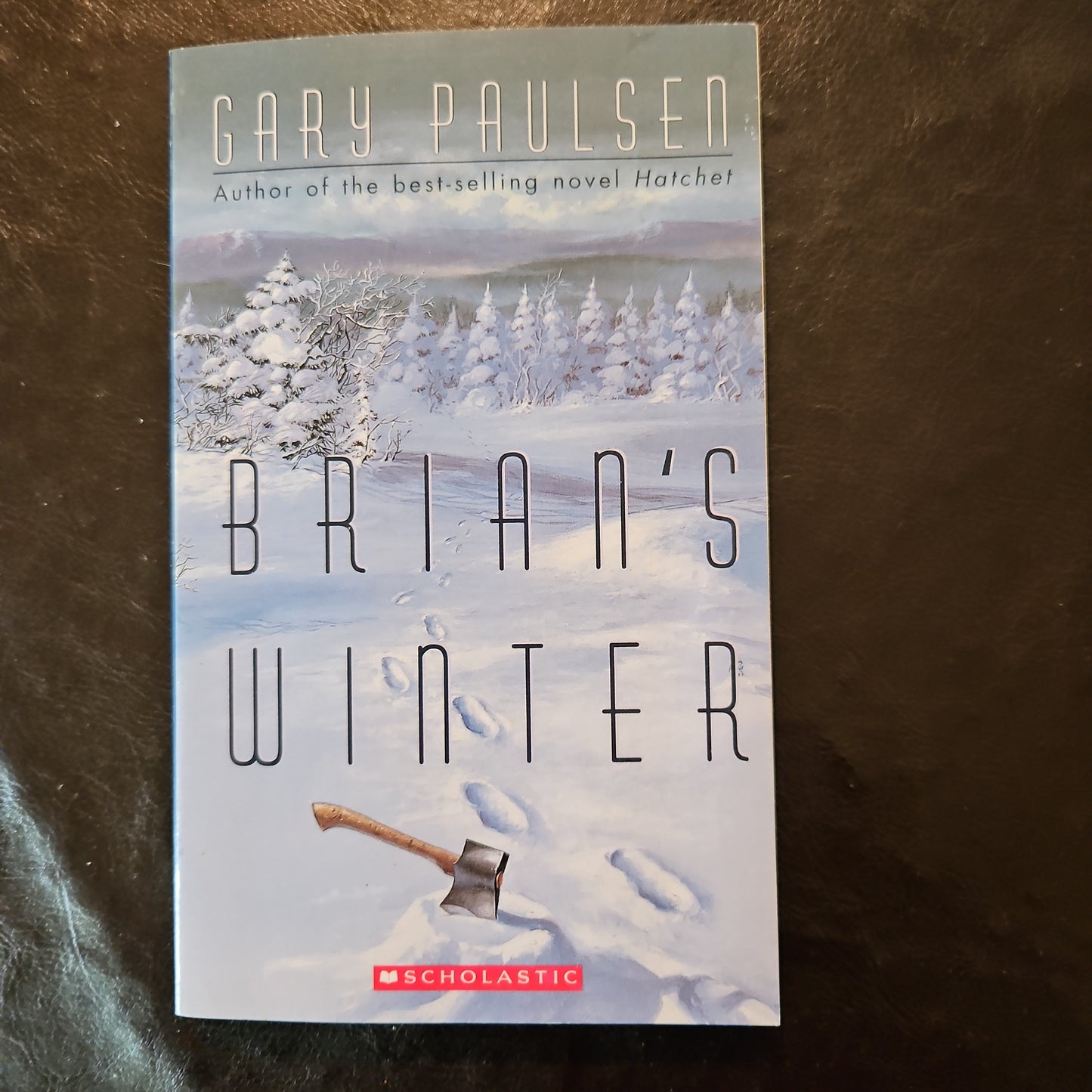 Brian's Winter