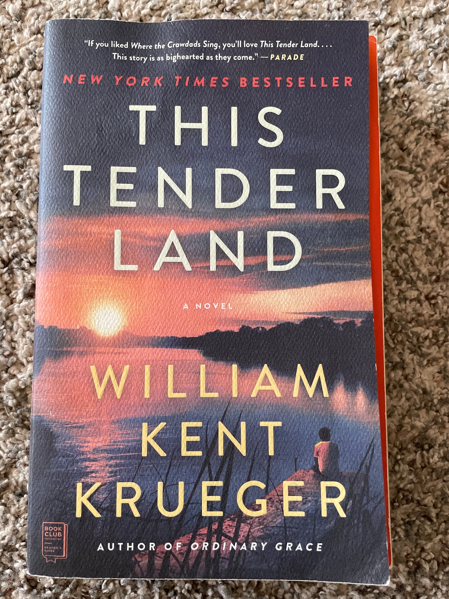 This Tender Land