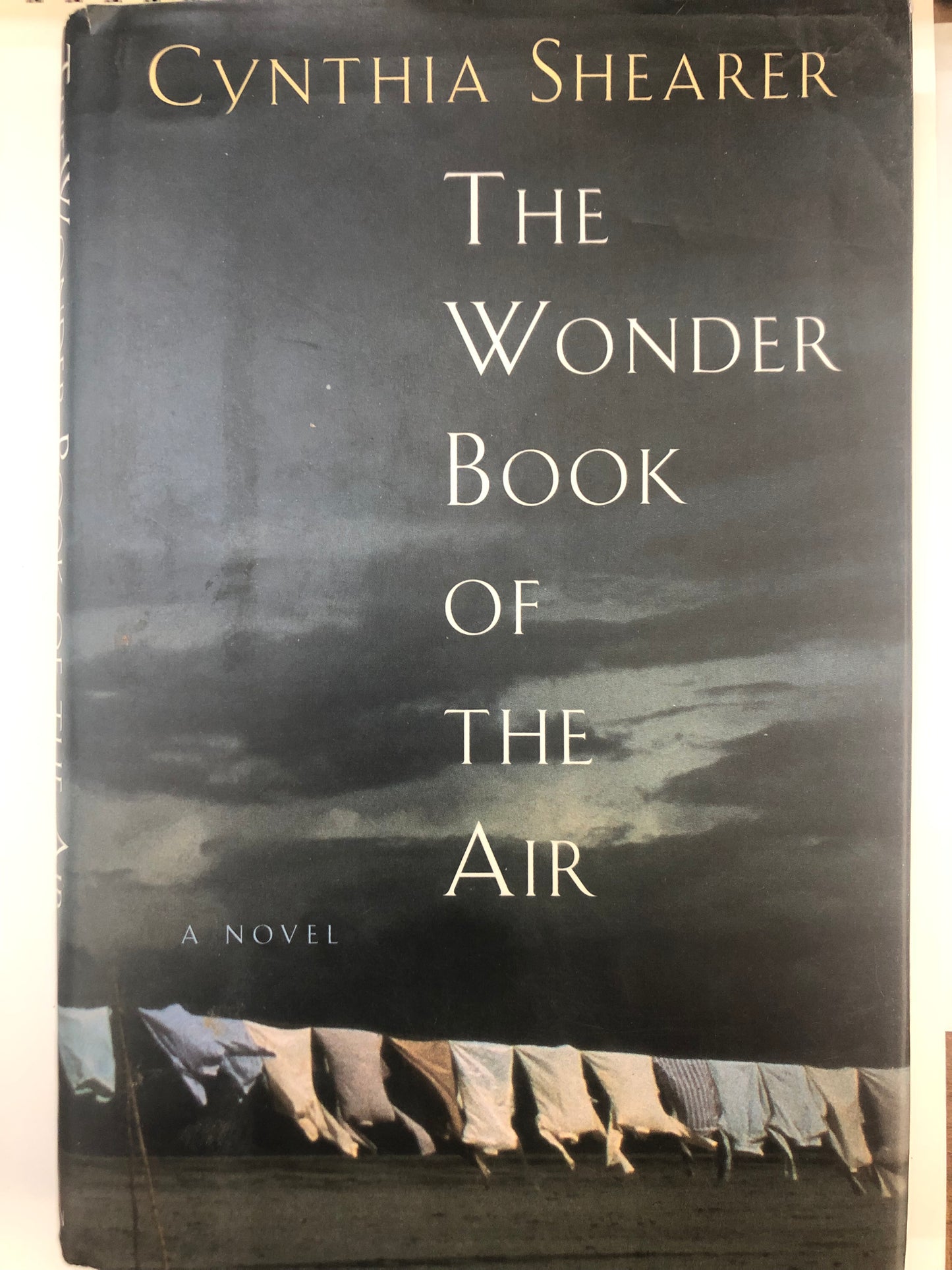 The Wonder Book of the Air