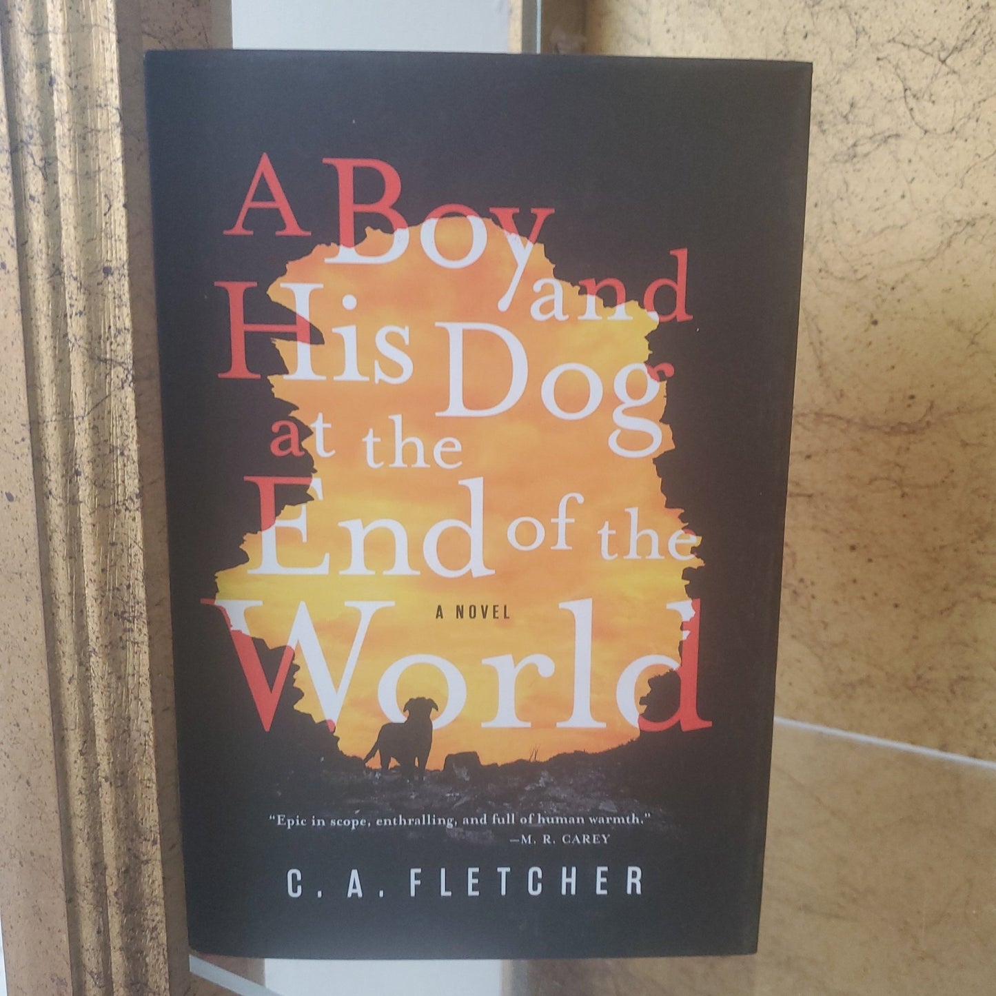 A Boy and his Dog at the End of the World - [ash-ling] Booksellers