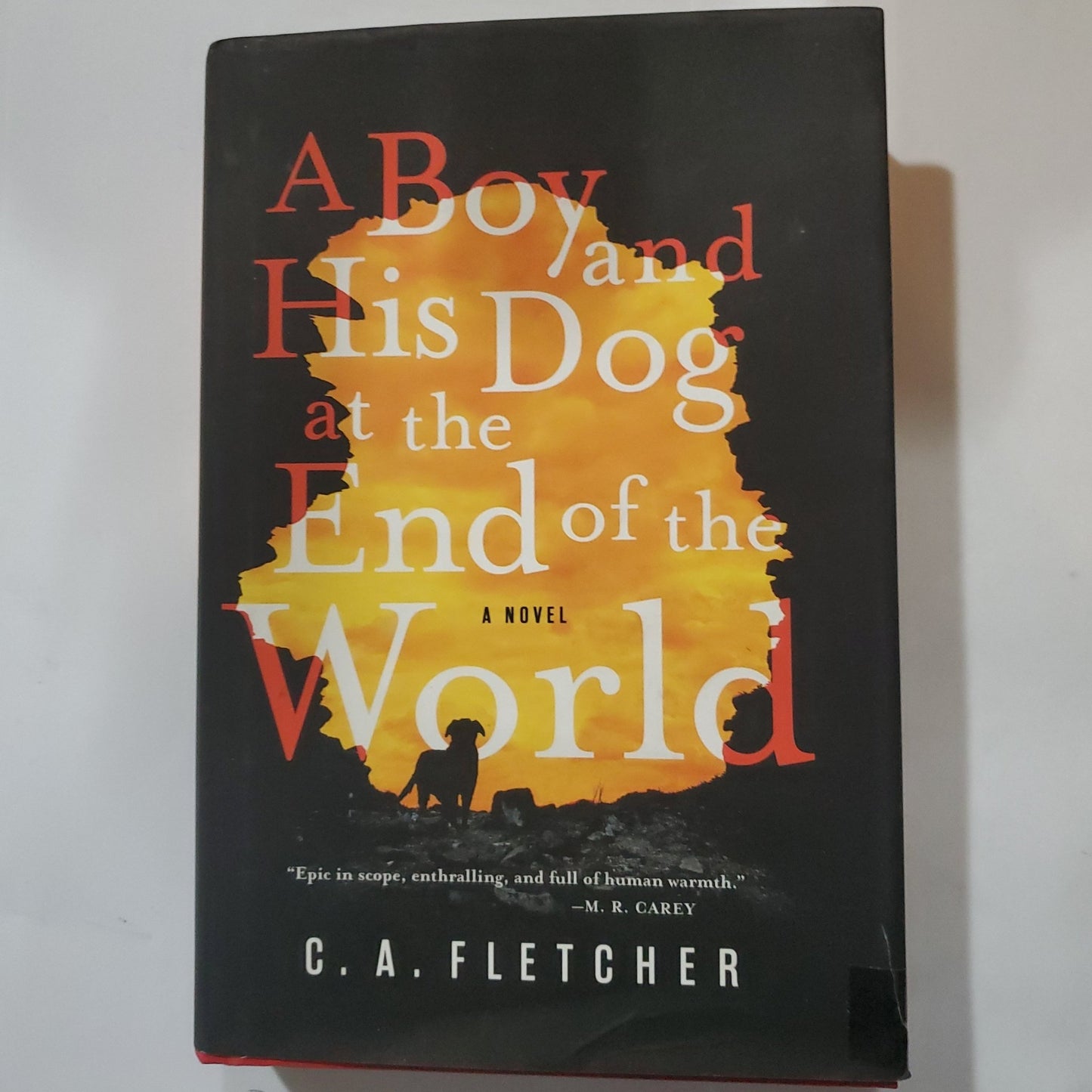 A Boy and His Dog at the End of the World - [ash-ling] Booksellers