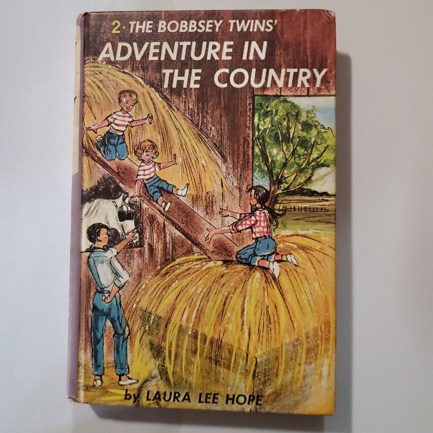 Adventure in the Country - [ash-ling] Booksellers