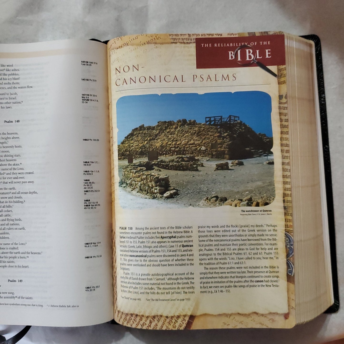 Archaeological Study Bible - [ash-ling] Booksellers