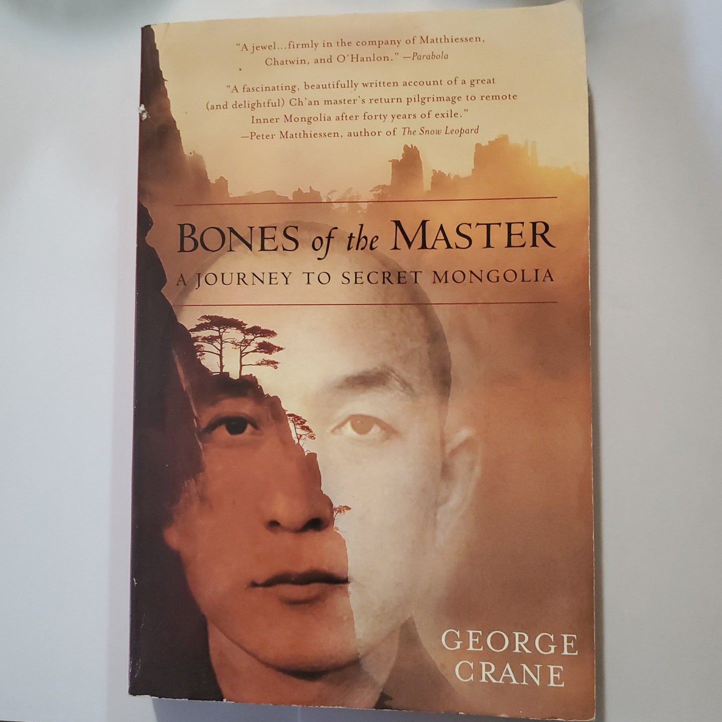 Bones of the Master - [ash-ling] Booksellers