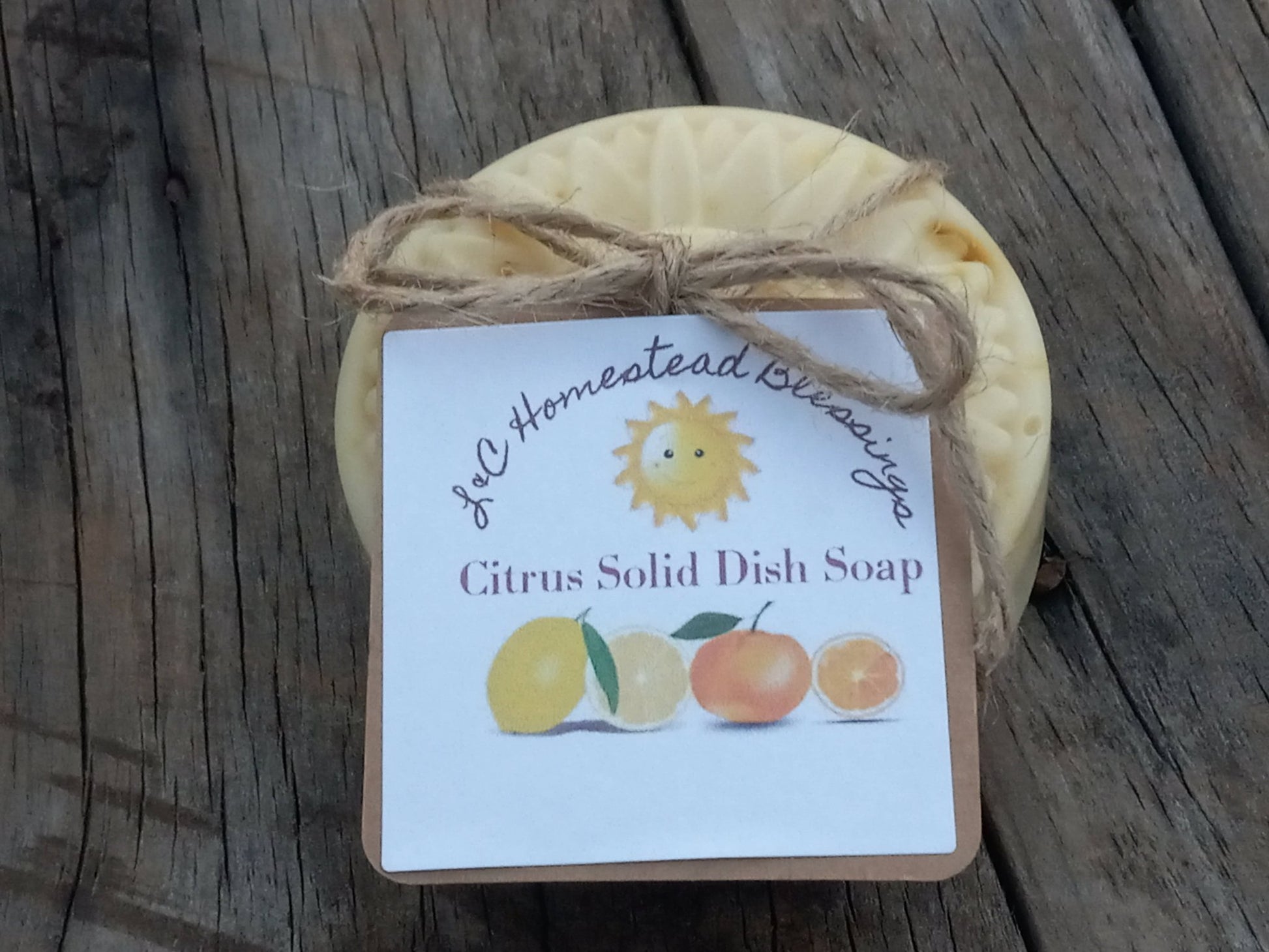 Citrus Solid Dish Soap - [ash-ling] Booksellers