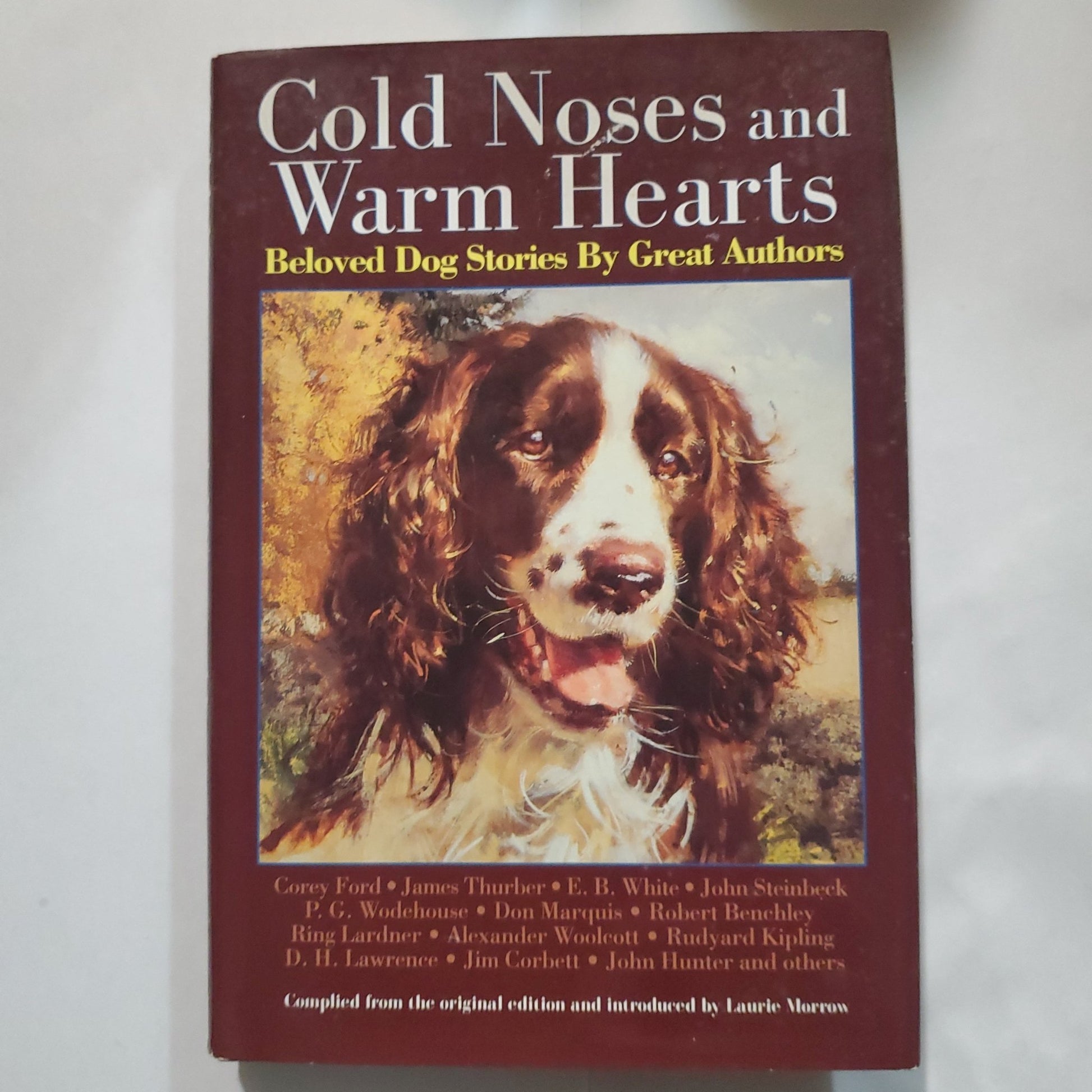 Cold Noses and Warm Hearts - [ash-ling] Booksellers