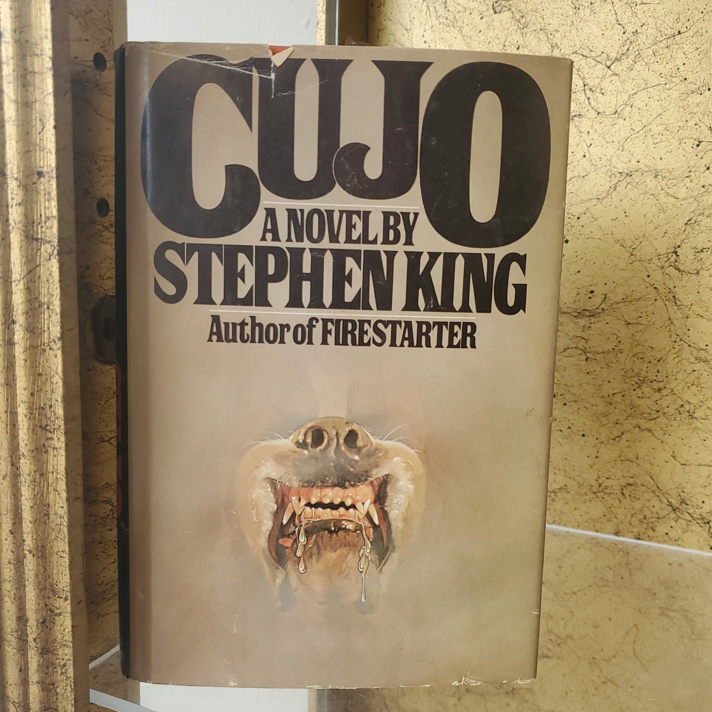 Cujo - [ash-ling] Booksellers