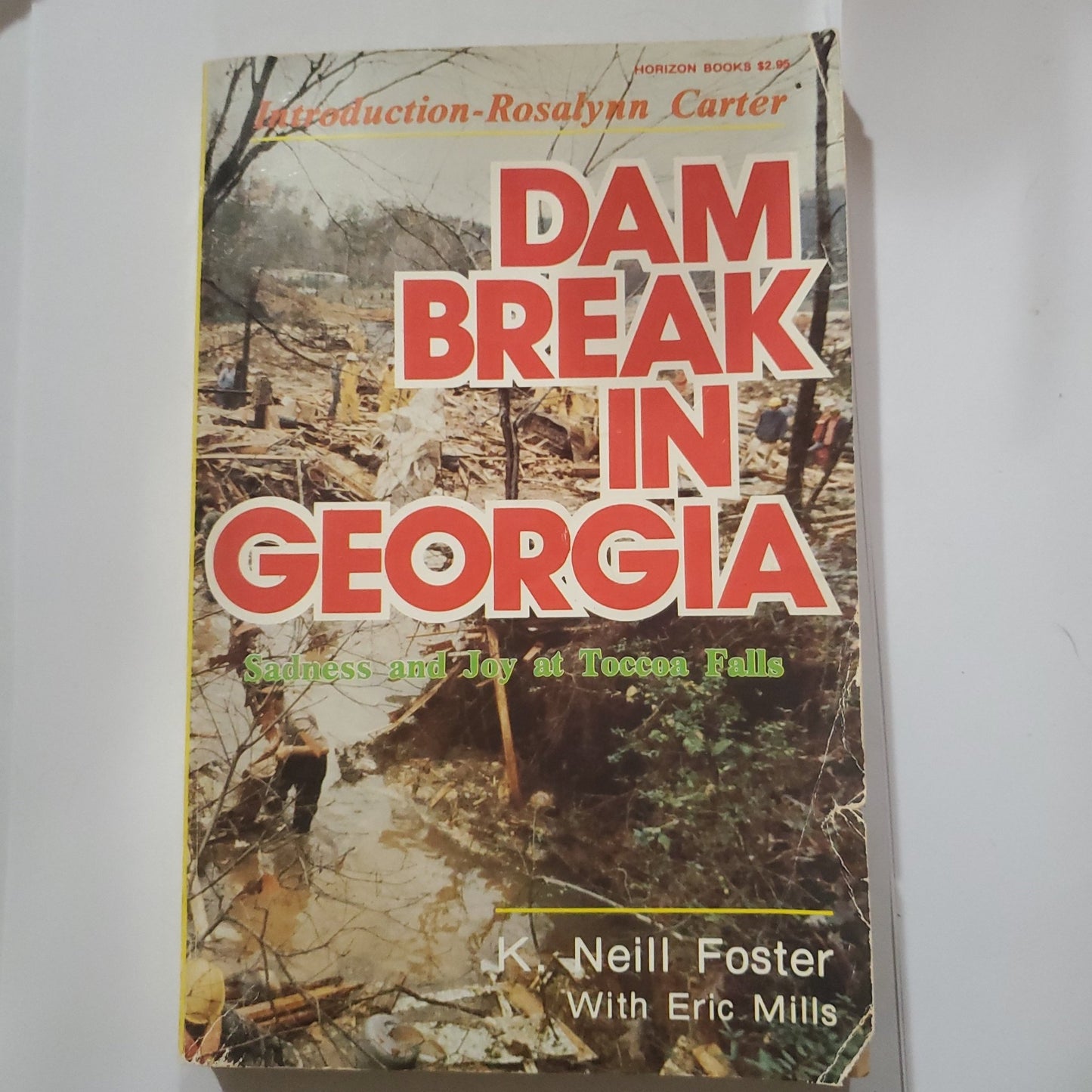 Dam Break in Georgia - [ash-ling] Booksellers