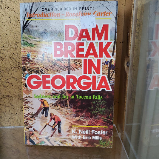 Dam Break in Georgia - [ash-ling] Booksellers