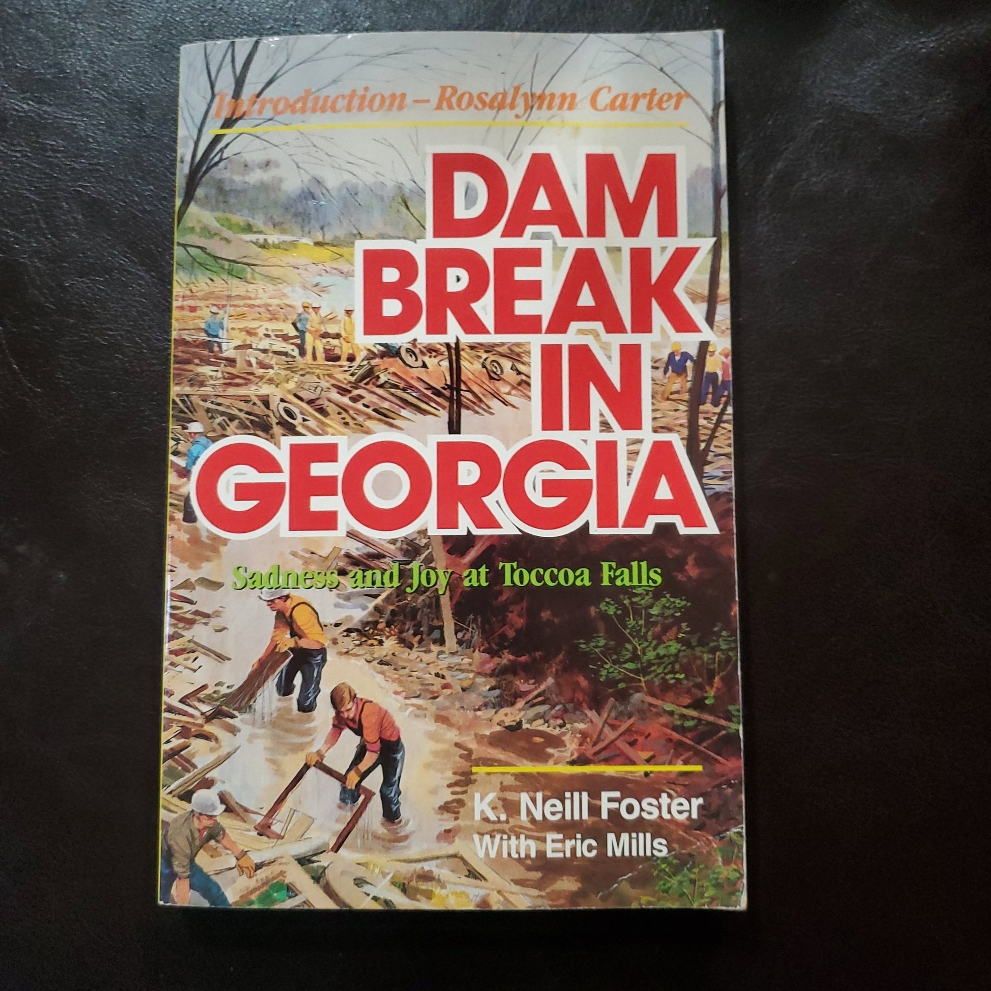 Dam Break in Georgia - [ash-ling] Booksellers