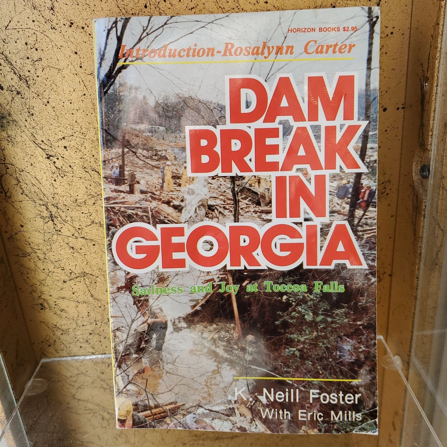 Dam Break in Georgia - [ash-ling] Booksellers