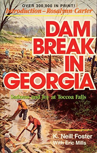 Dam Break in Georgia: Sadness and Joy at Toccoa Falls (Horizon Books) Paperback - USED - VERY GOOD Condition - [ash-ling] Booksellers