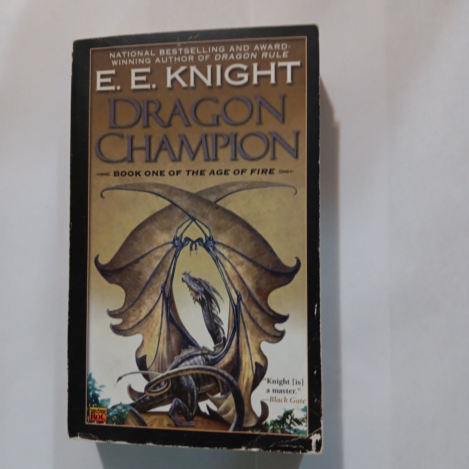 Dragon Champion - [ash-ling] Booksellers