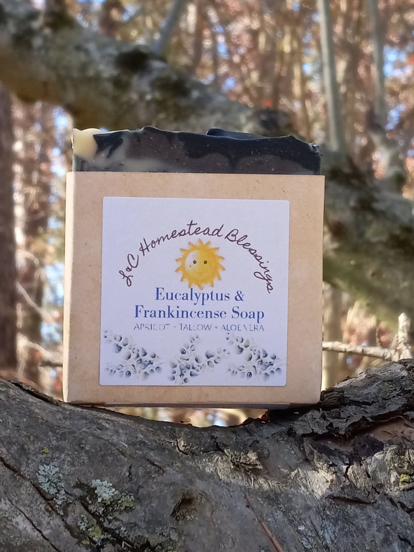 Eucalyptus & Frankincense Soap - [ash-ling] Booksellers