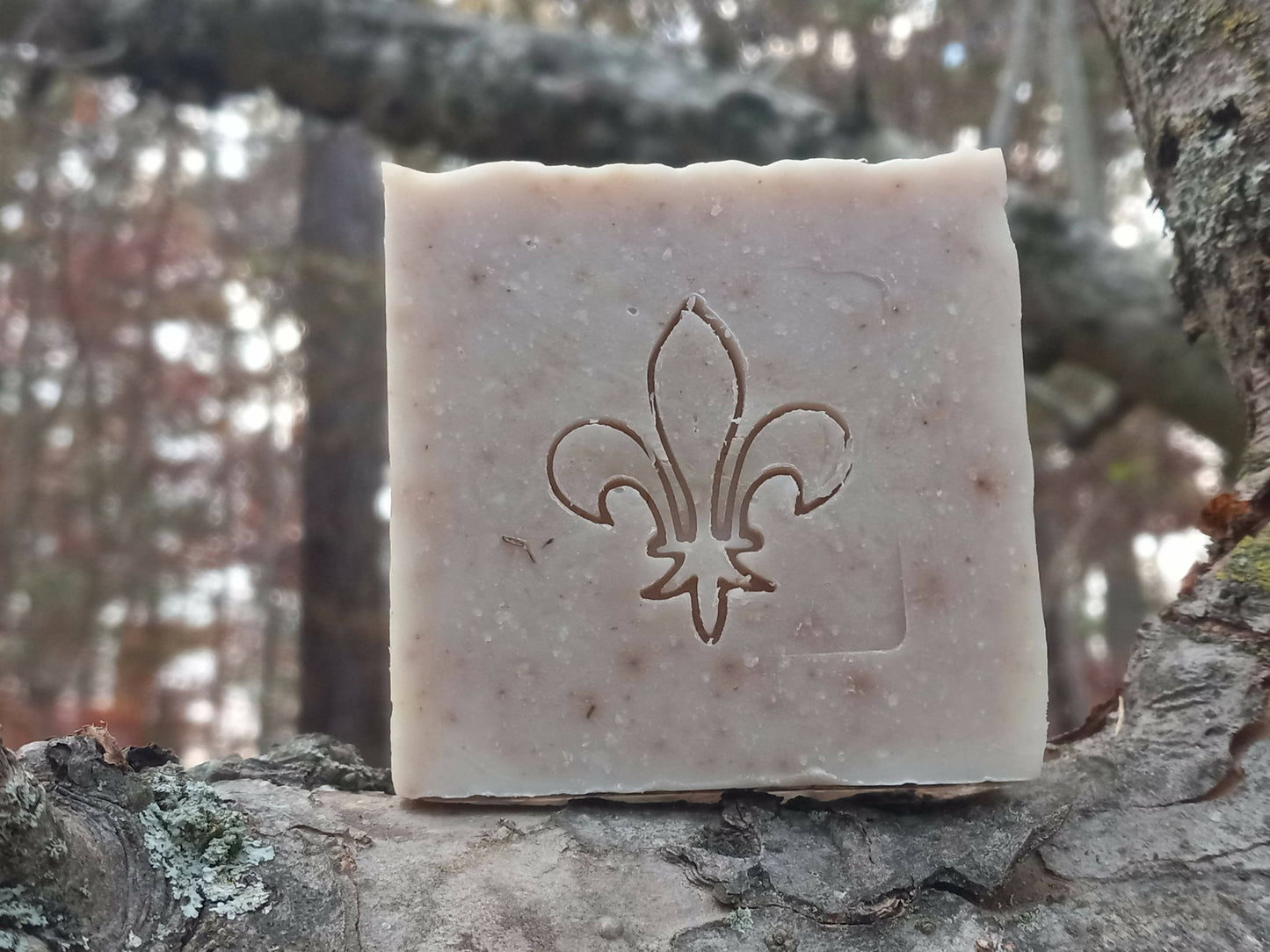 French Lavender Soap - [ash-ling] Booksellers