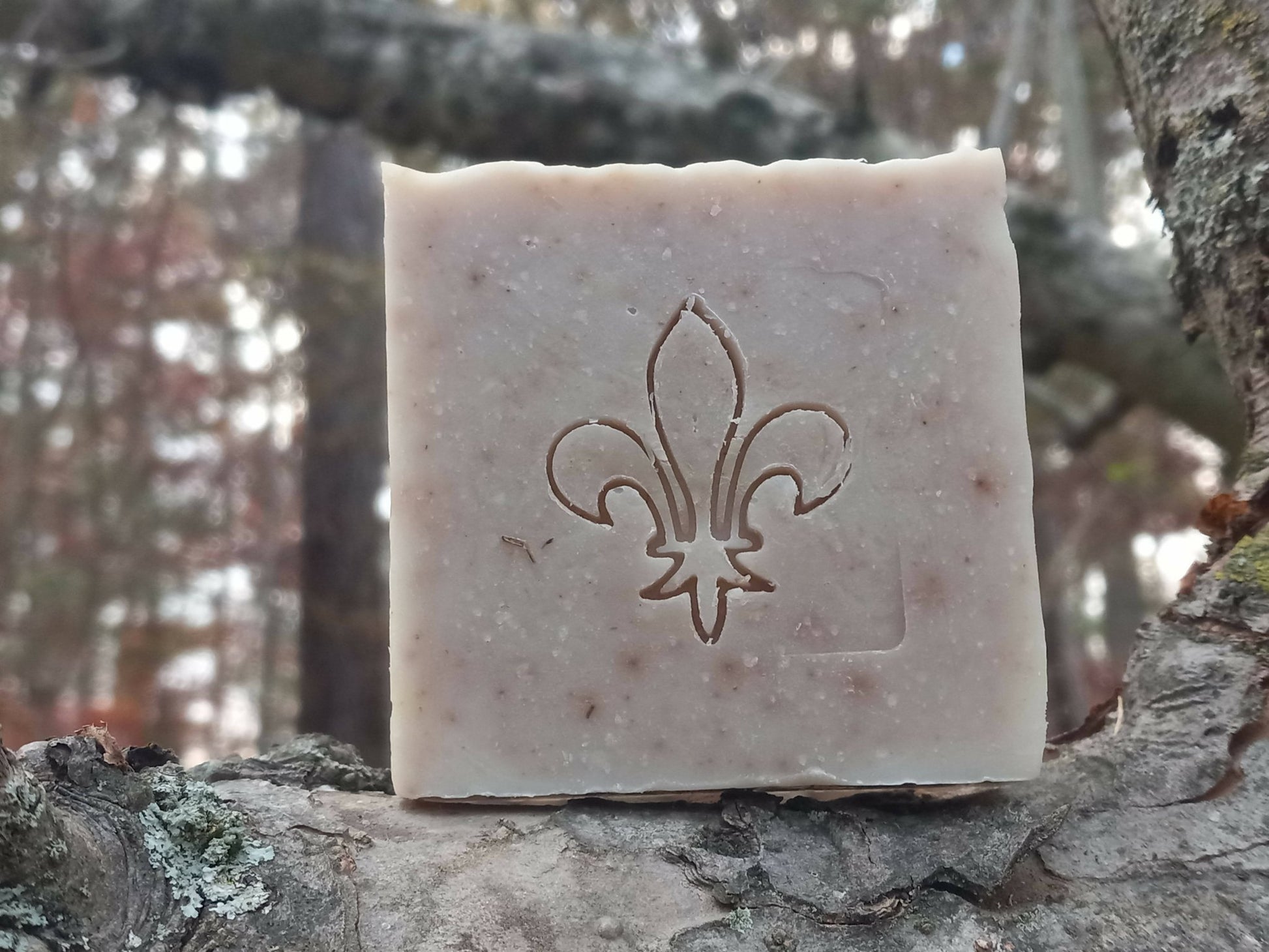 French Lavender Soap - [ash-ling] Booksellers