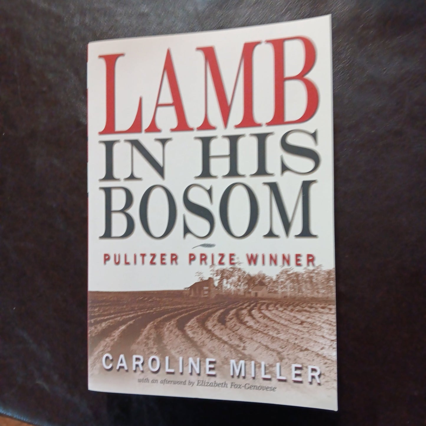 Lamb in His Bosom - [ash-ling] Booksellers