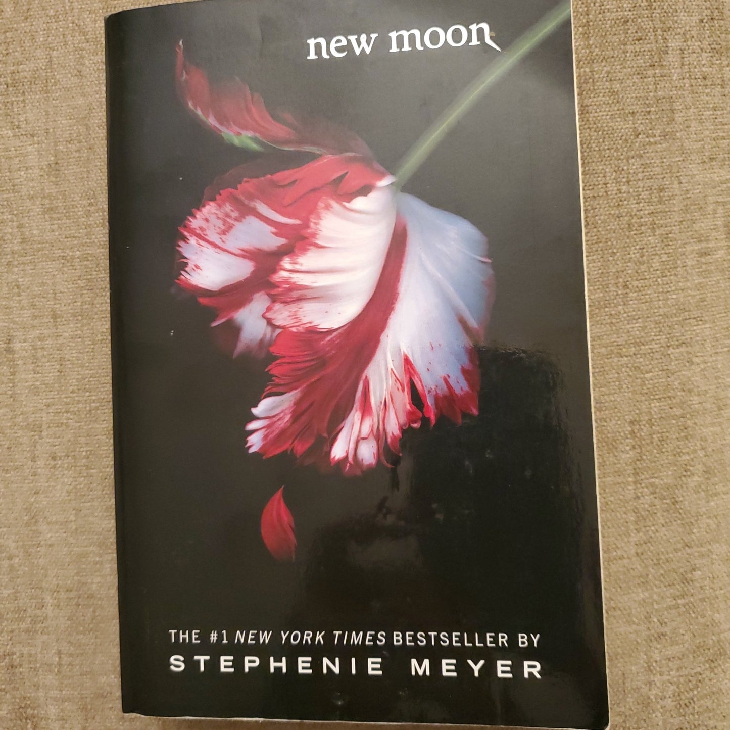 New Moon - [ash-ling] Booksellers