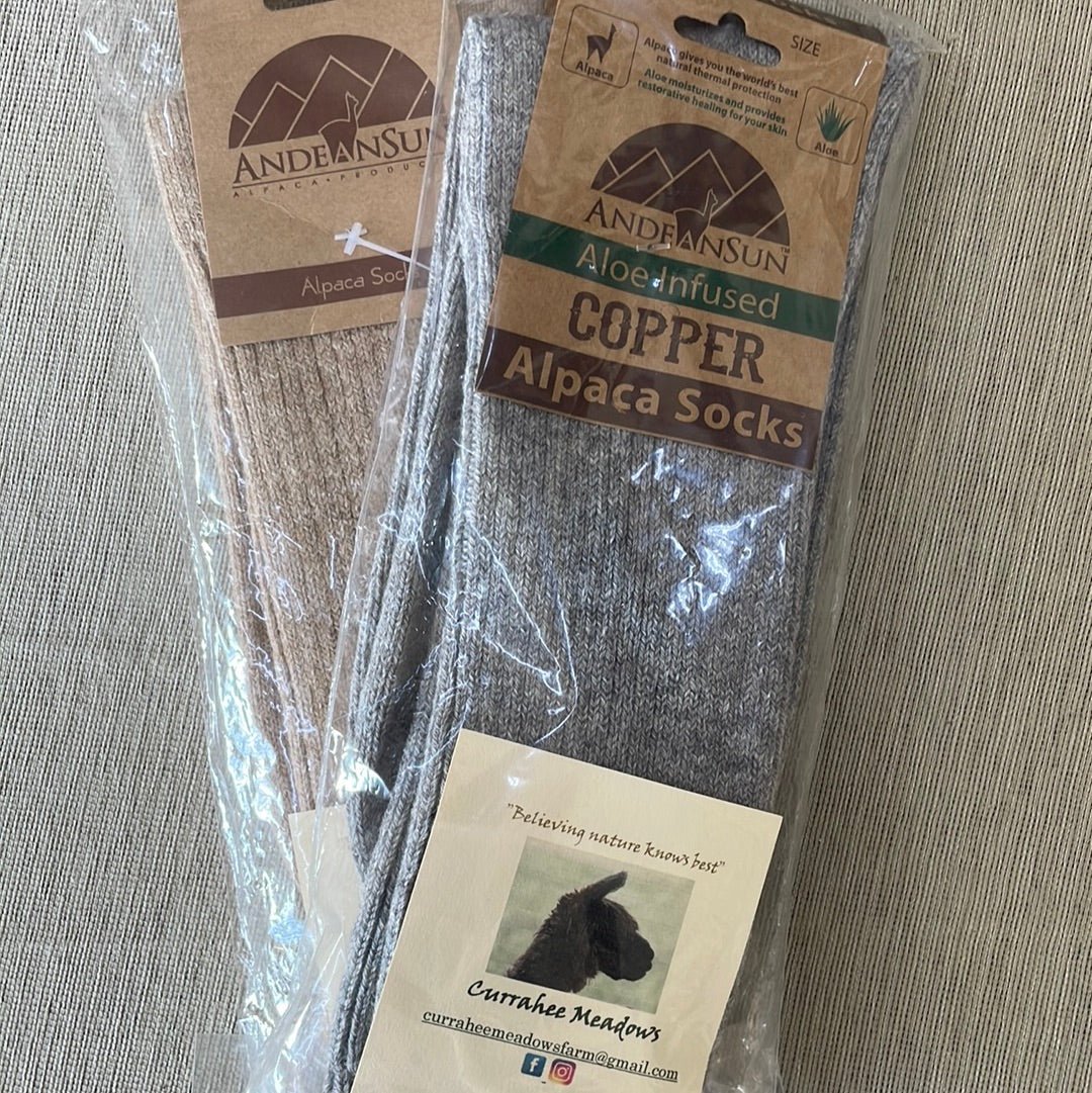 Socks: Copper, XL - [ash-ling] Booksellers