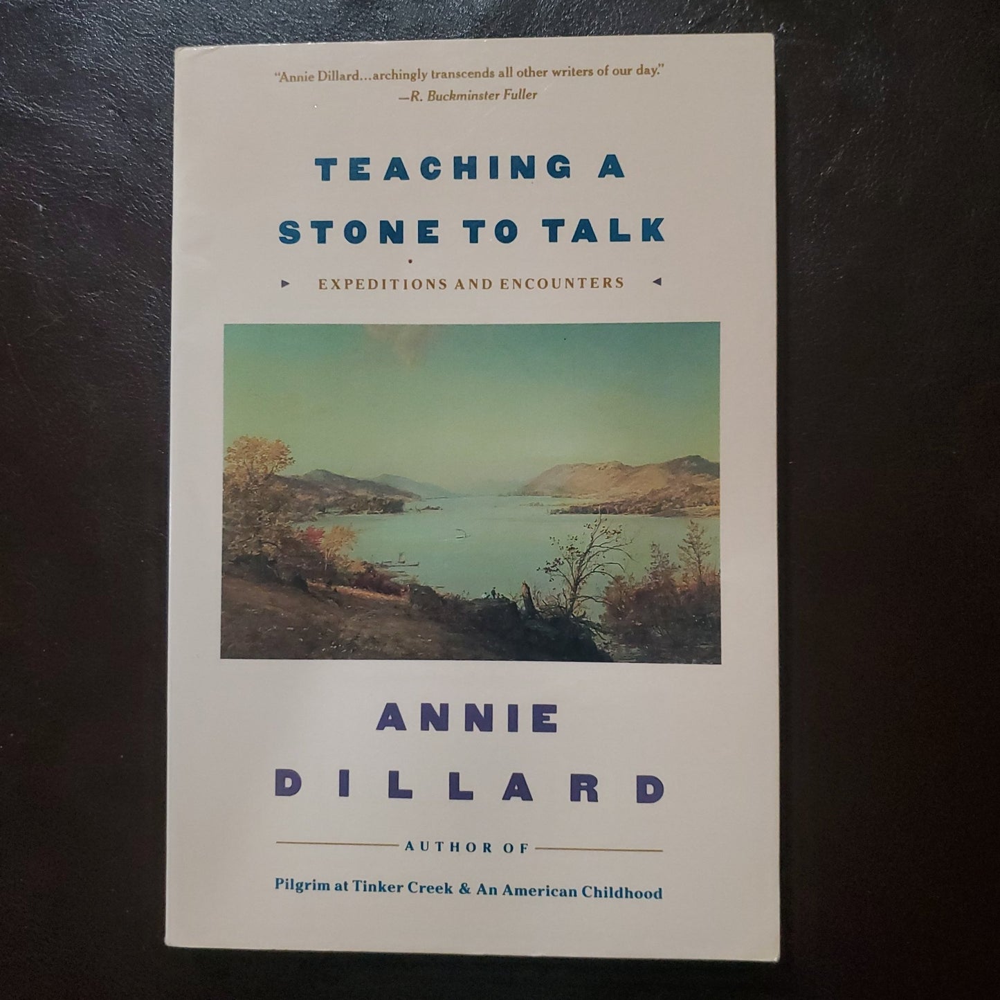 Teaching a Stone to Talk - [ash-ling] Booksellers