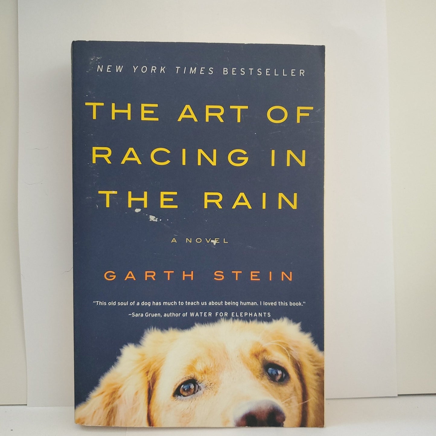 The Art of Racing in the Rain - [ash-ling] Booksellers