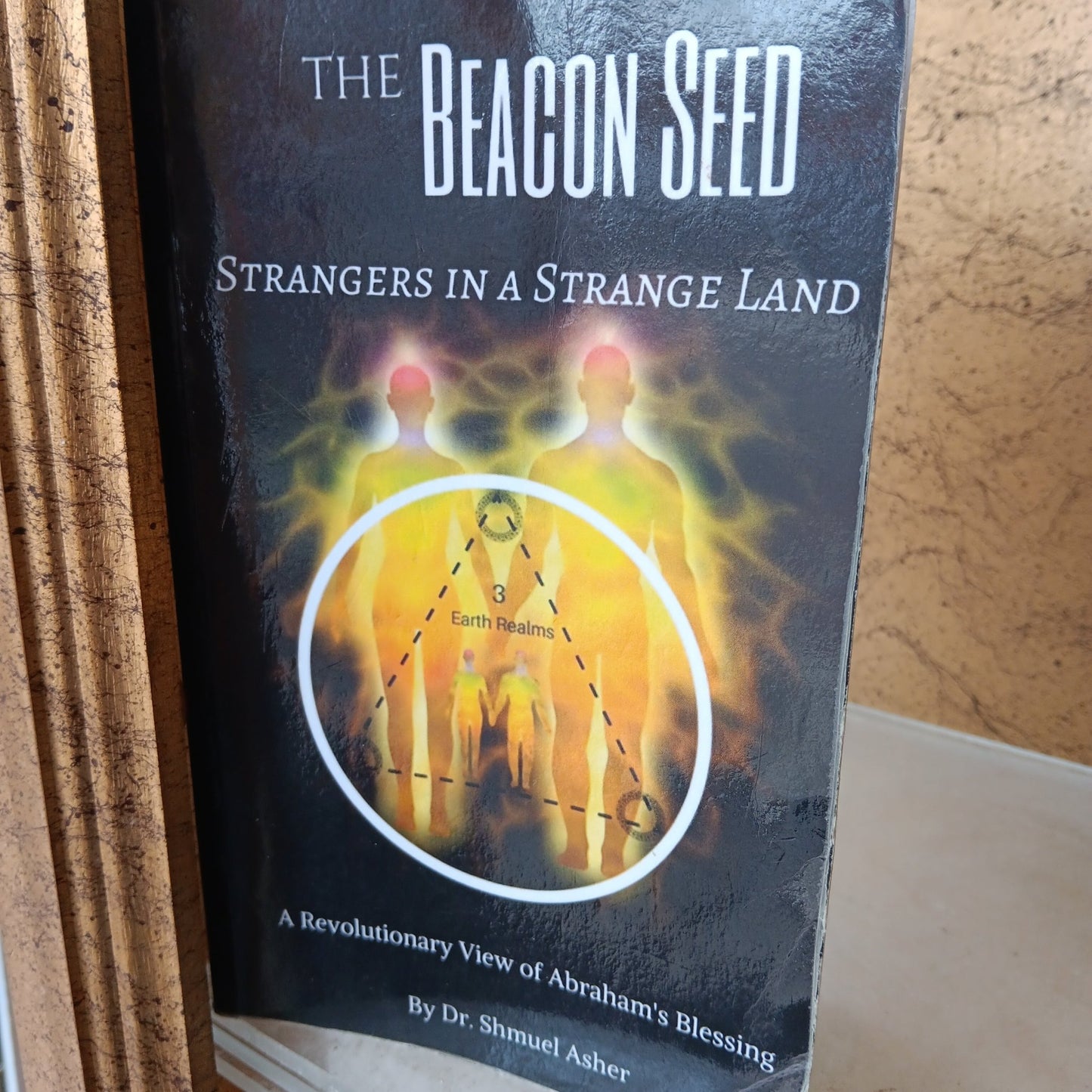 The Beacon Seed - [ash-ling] Booksellers