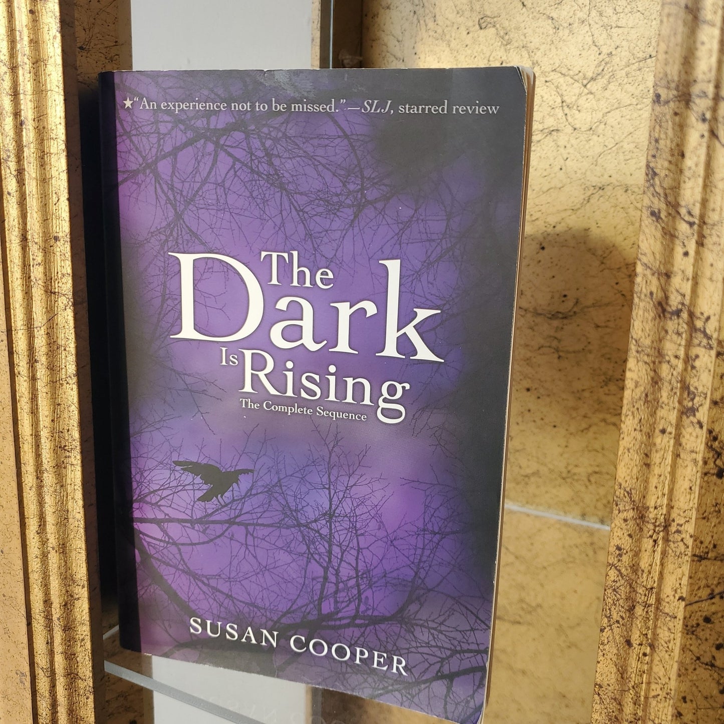 The Dark is Rising: The Complete Sequence - [ash-ling] Booksellers