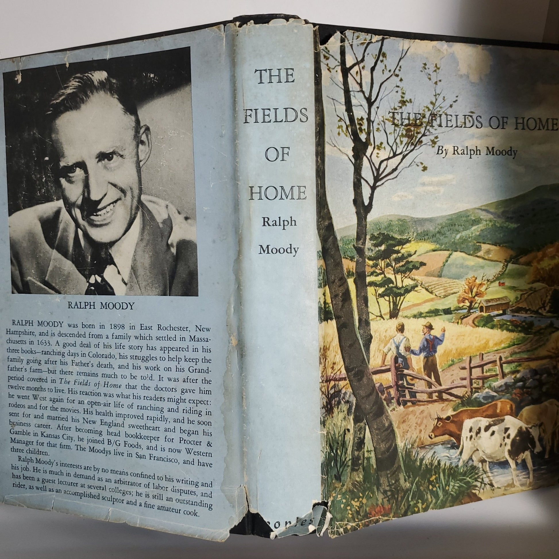 The Fields of Home - [ash-ling] Booksellers