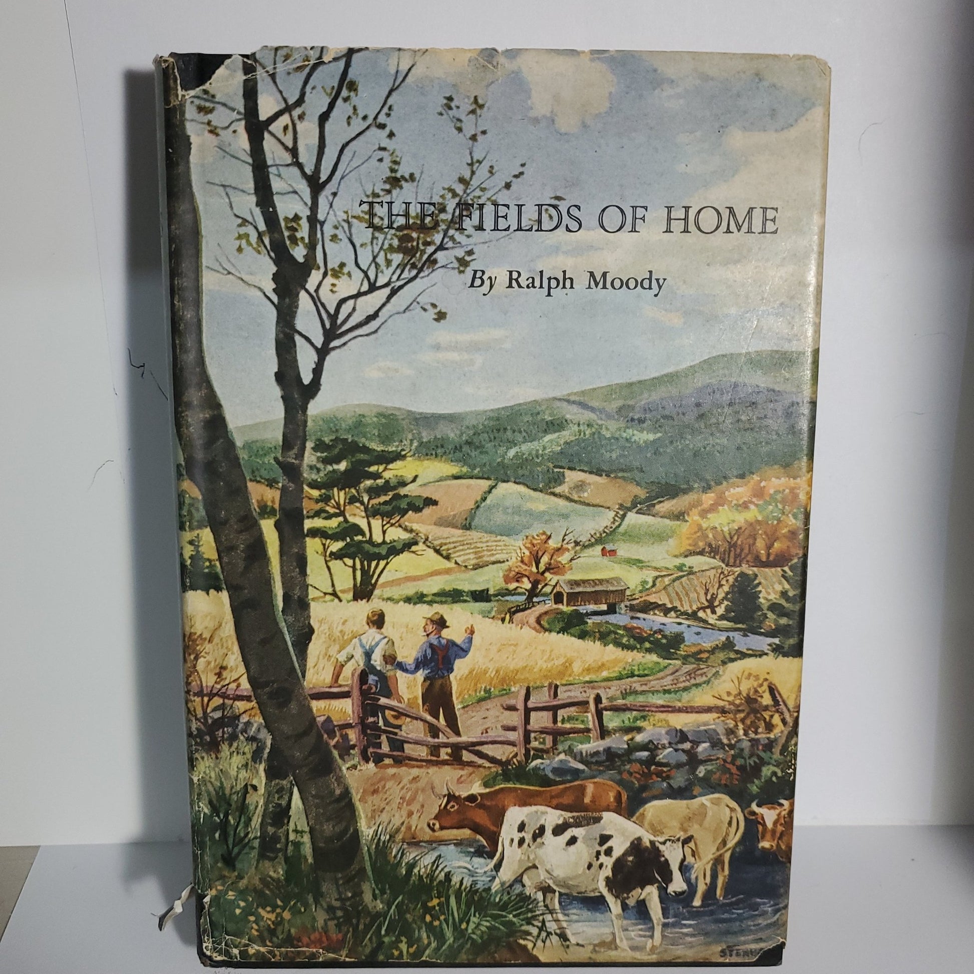The Fields of Home - [ash-ling] Booksellers