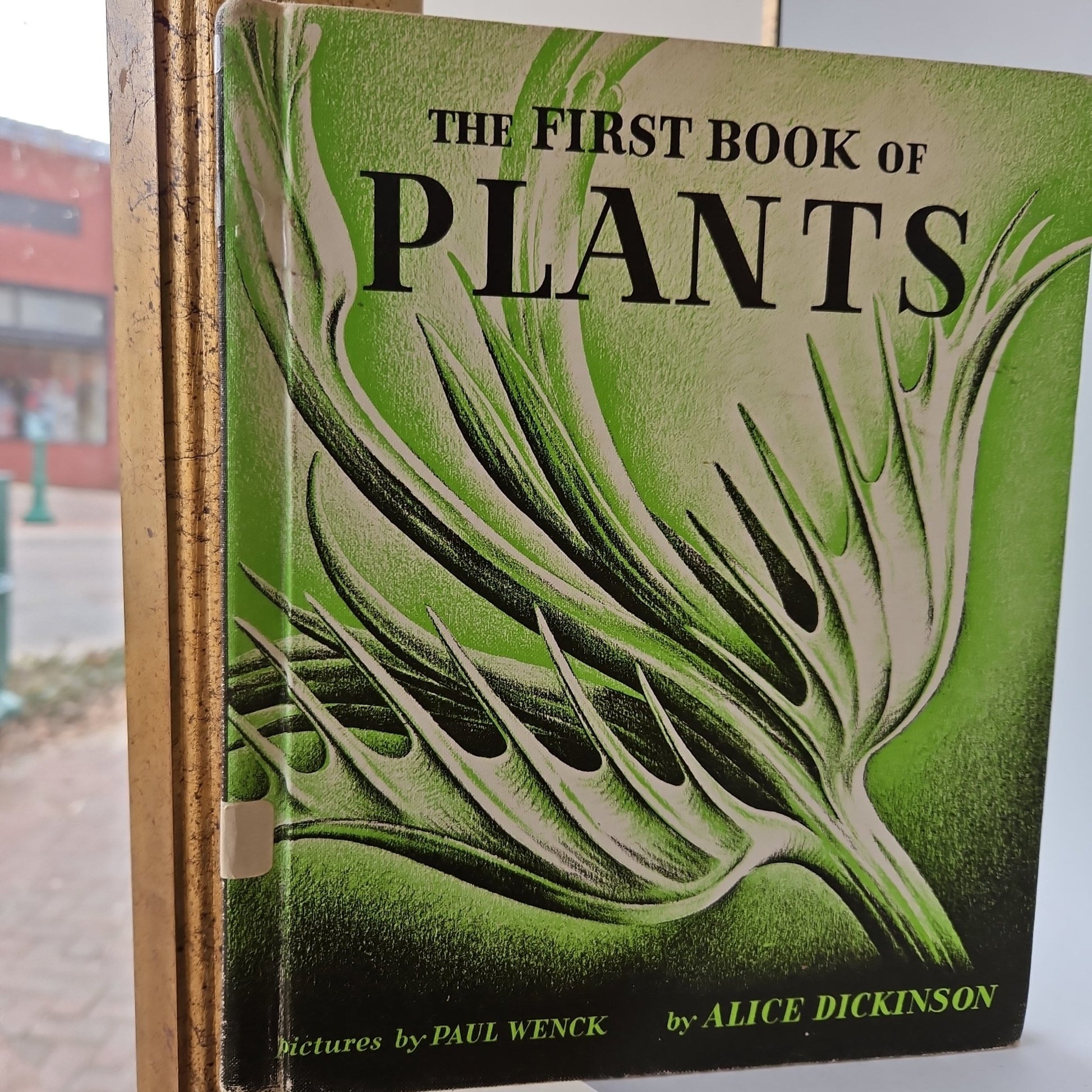 The First Book of Plants - [ash-ling] Booksellers