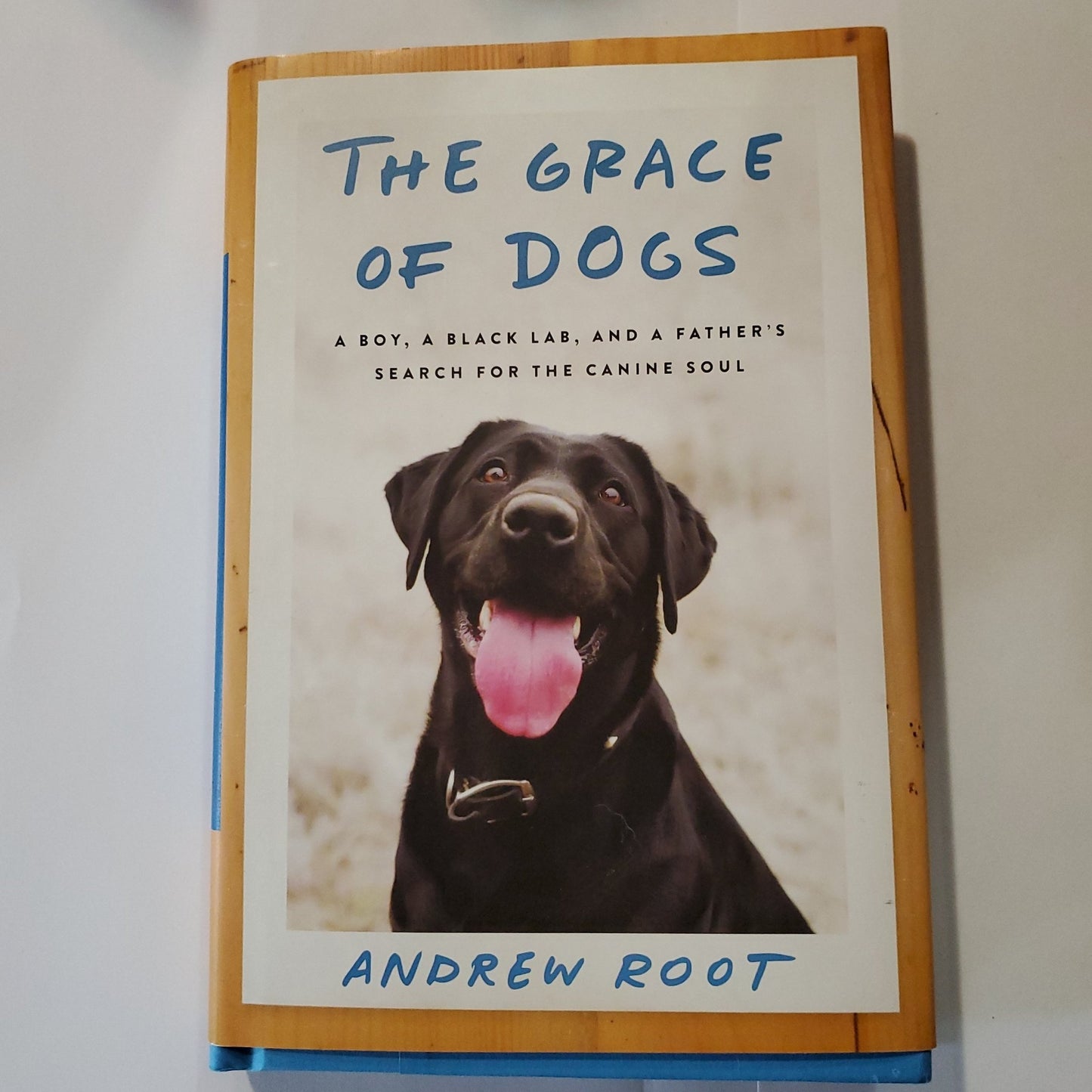 The Grace of Dogs - [ash-ling] Booksellers