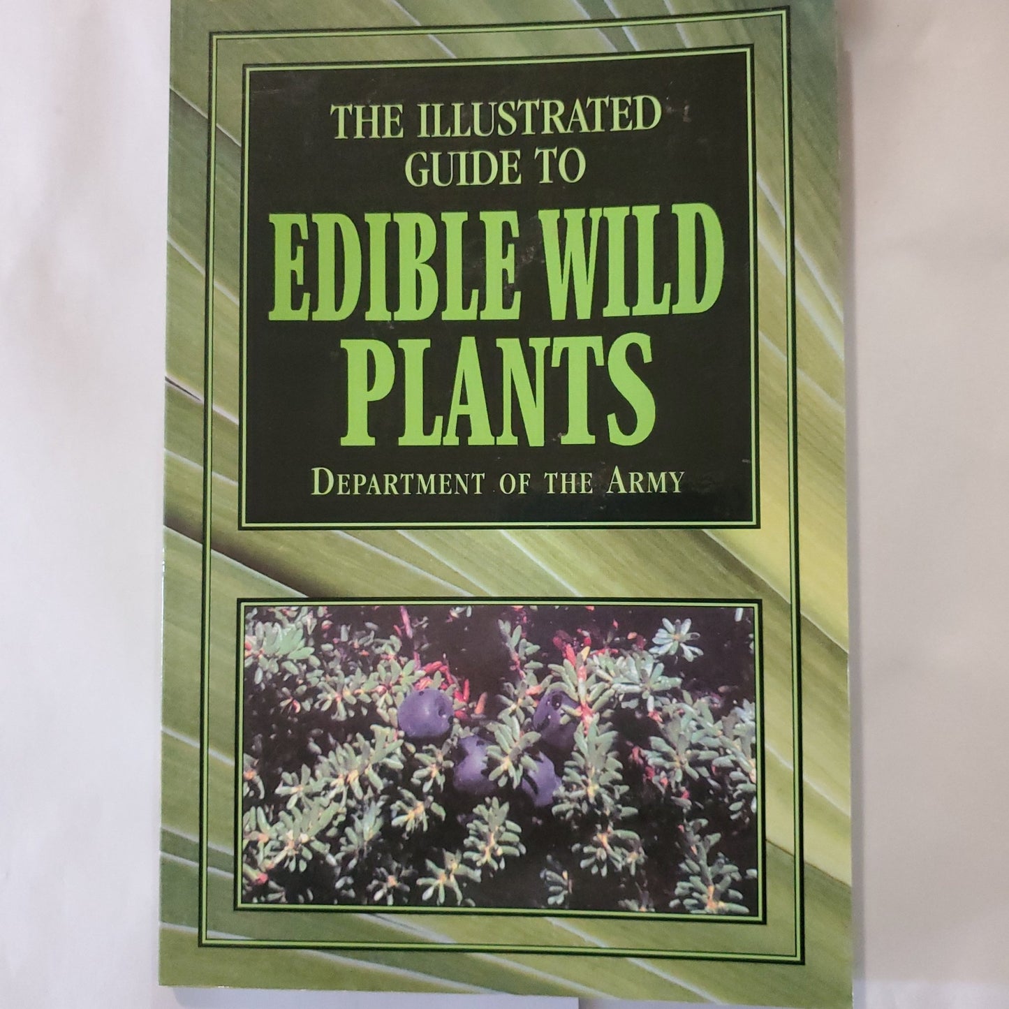 The Illustrated Guide to Edible Wild Plants - [ash-ling] Booksellers