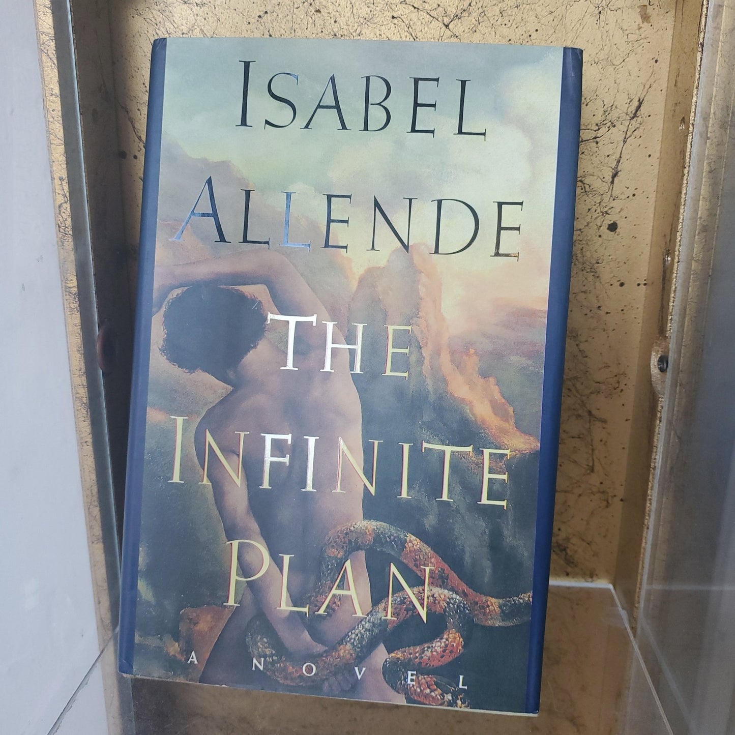 The Infinite Plan - [ash-ling] Booksellers