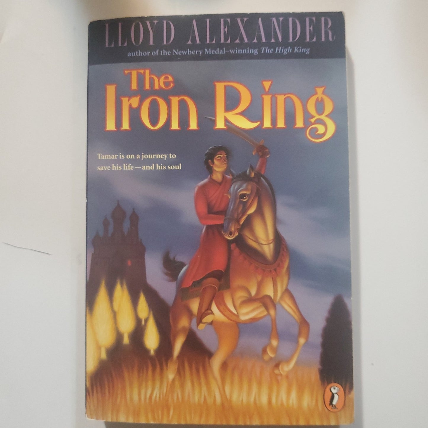 The Iron Ring - [ash-ling] Booksellers