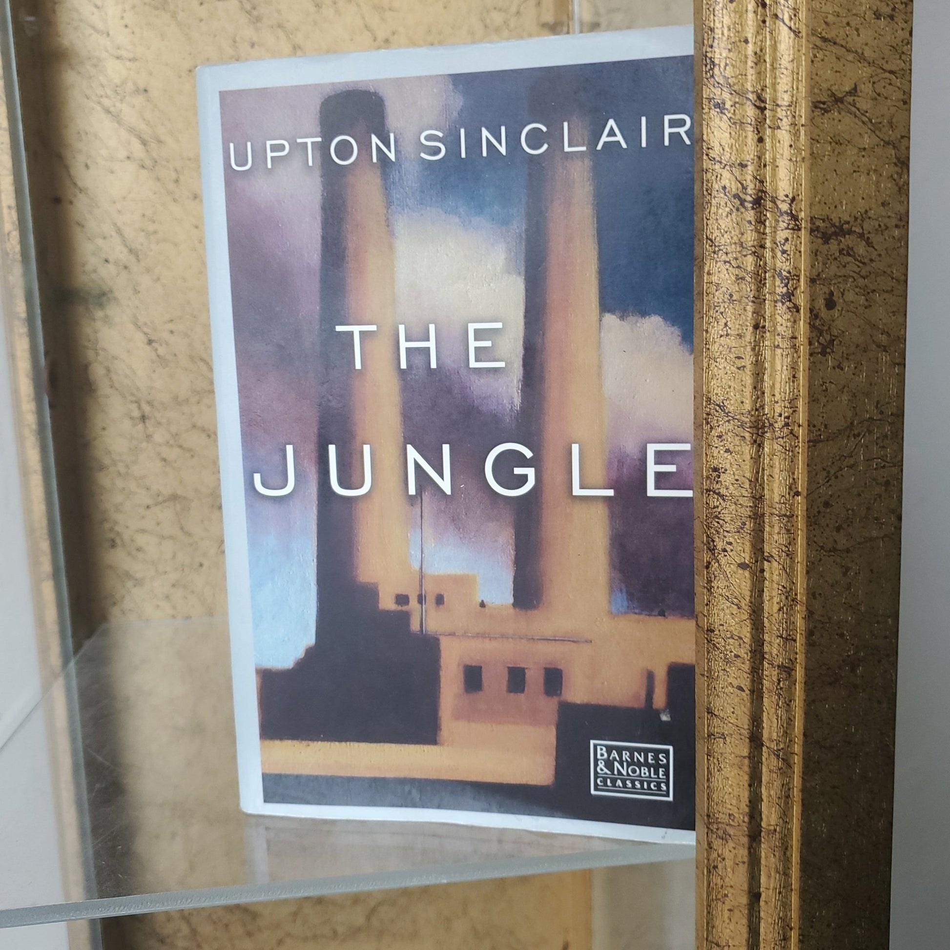 The Jungle - [ash-ling] Booksellers