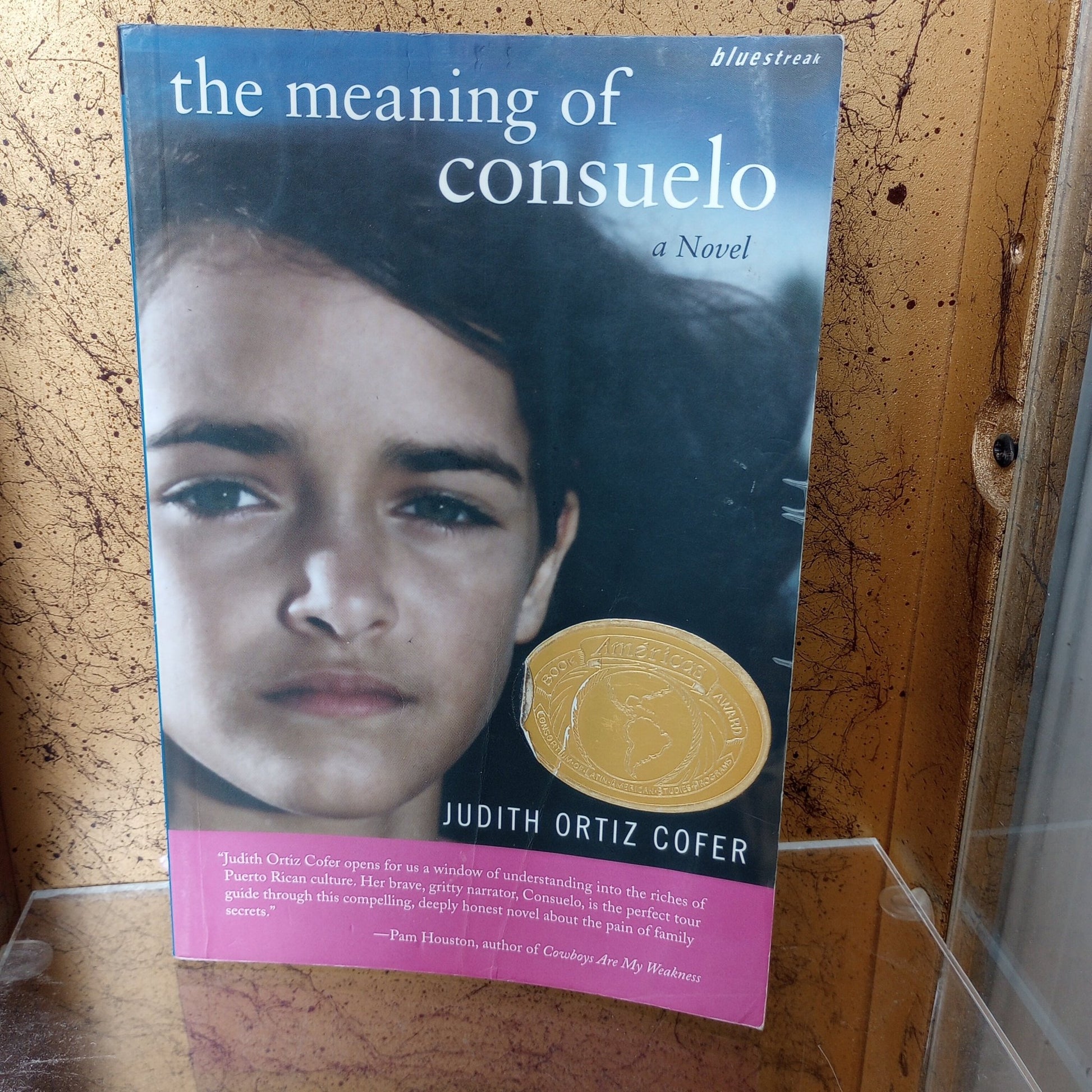 The Meaning of Consuelo - [ash-ling] Booksellers