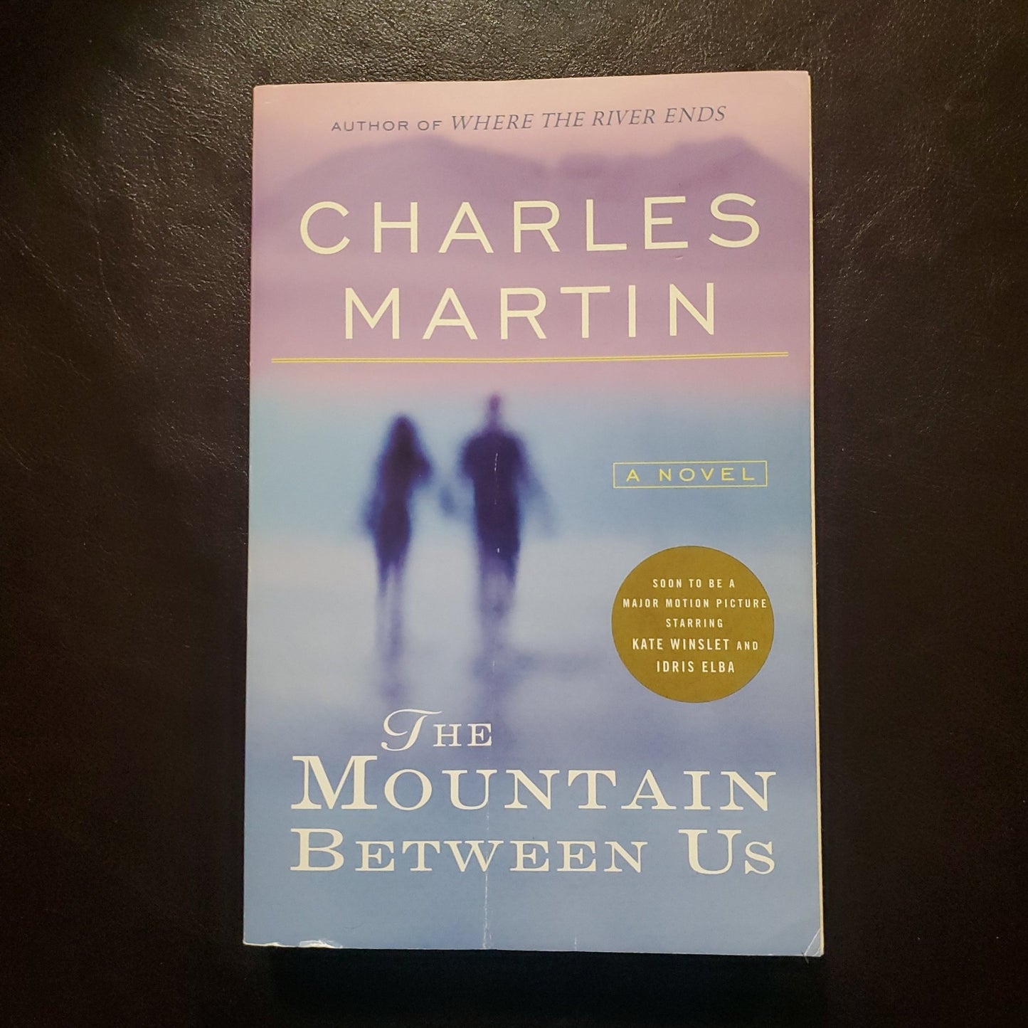 The Mountain Between Us - [ash-ling] Booksellers