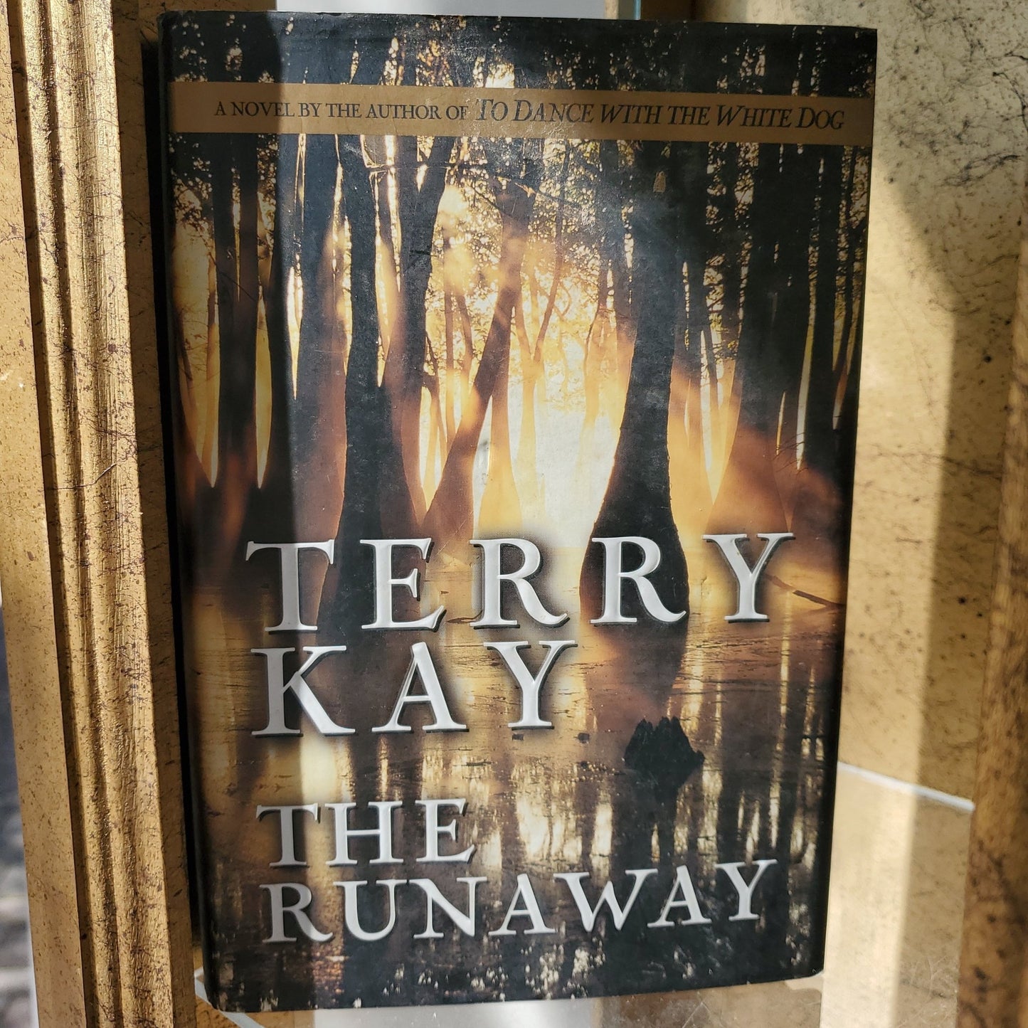 The Runaway - [ash-ling] Booksellers