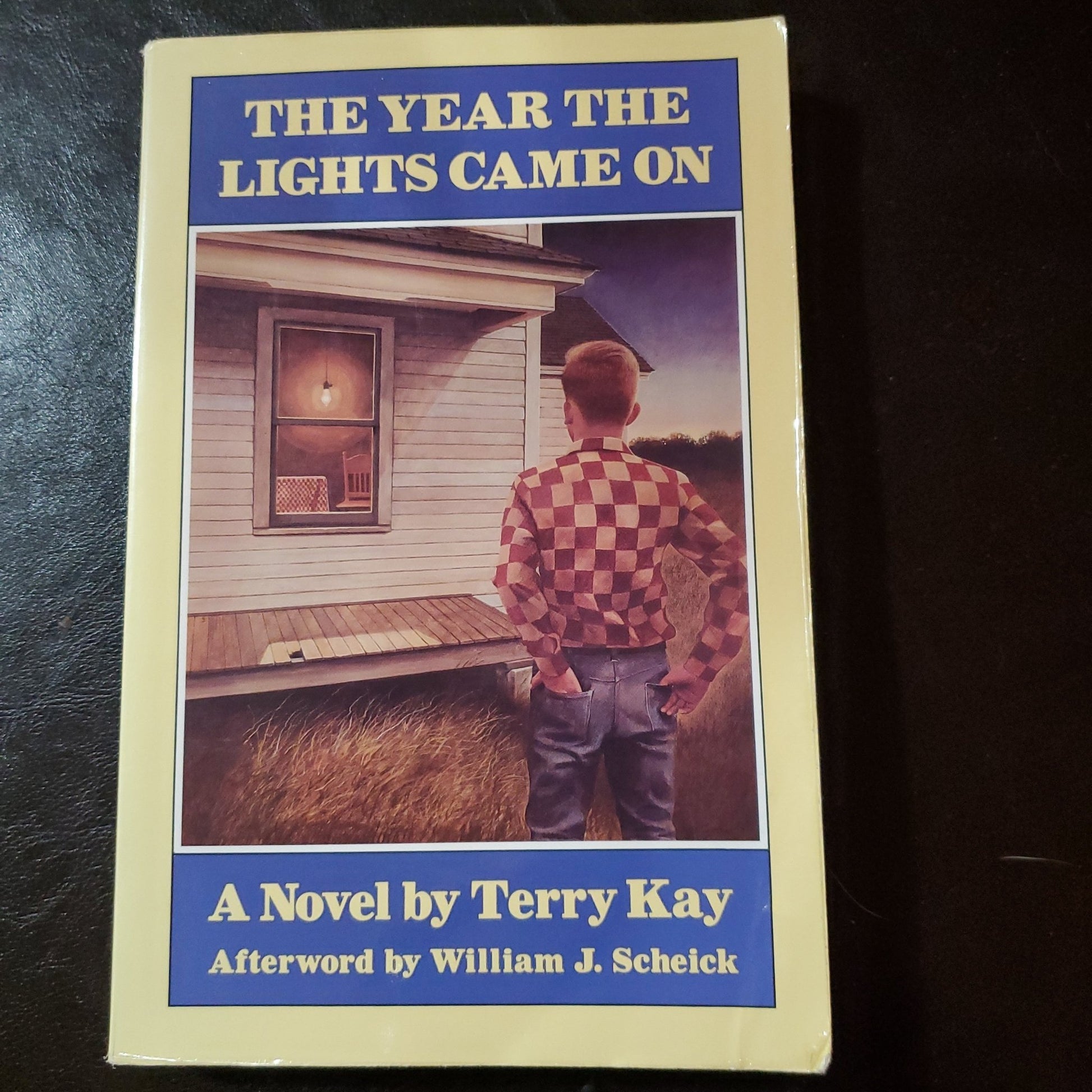 The Year the Lights Came On - [ash-ling] Booksellers