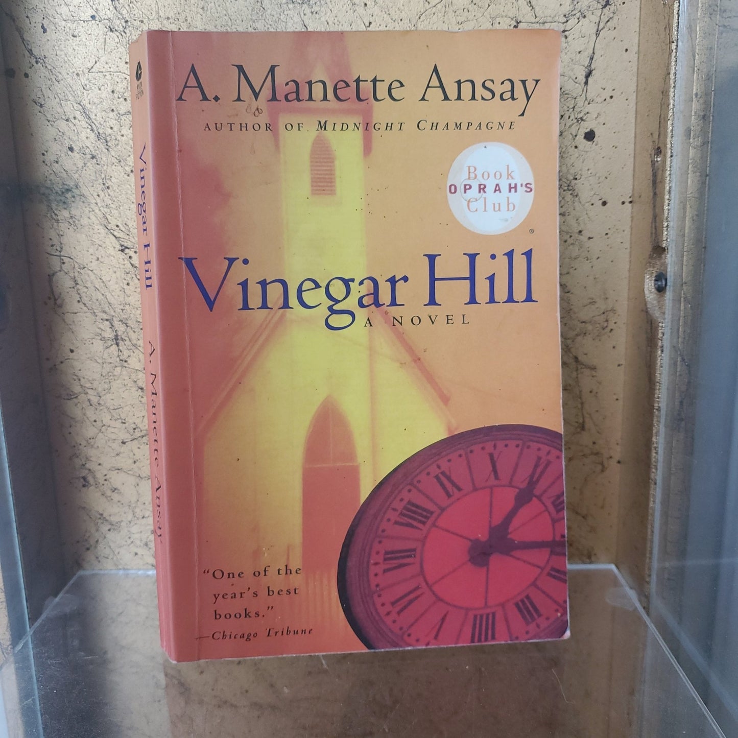 Vinegar Hill - [ash-ling] Booksellers