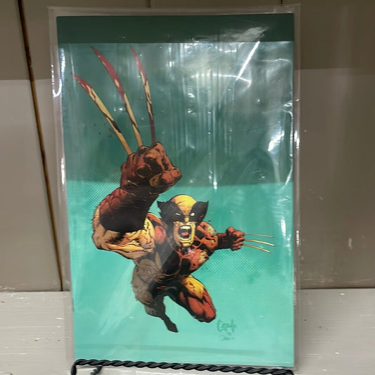 Wolverine issue #37 Fall of X Virgin Variant 2023 - [ash-ling] Booksellers