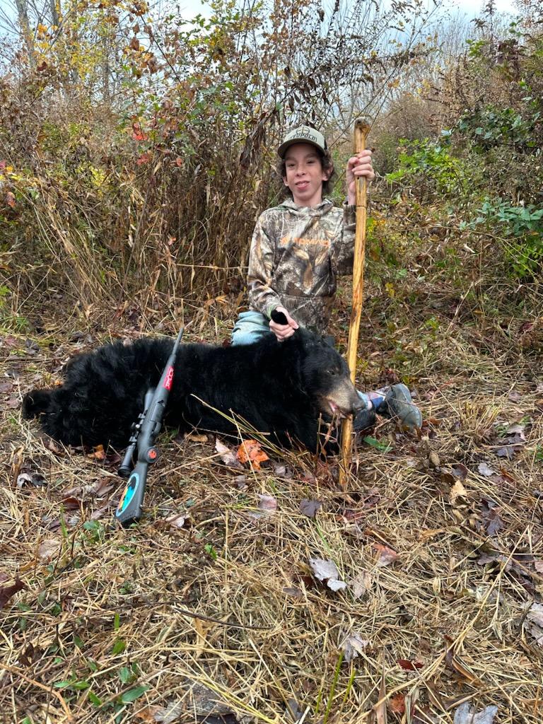 Black Bears and Mountain Country